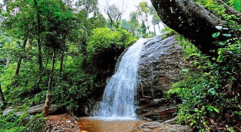Karadikallu Homestay Private Waterfalls Trek Hill Top Home Food