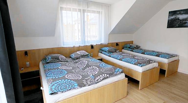 Wonderful rental apartment with barbeque & terrace | Dogs allowed in Szczawnica