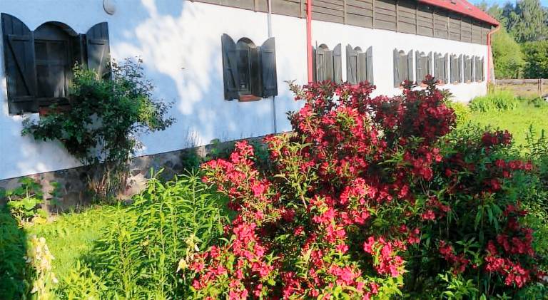 Family-oriented beautiful farm with grill, sauna & yard | Pets are welcome in Olsztyn