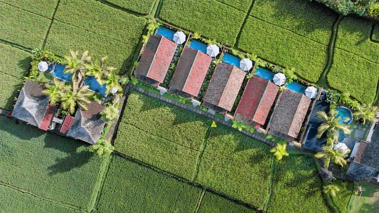 Resort Ubud