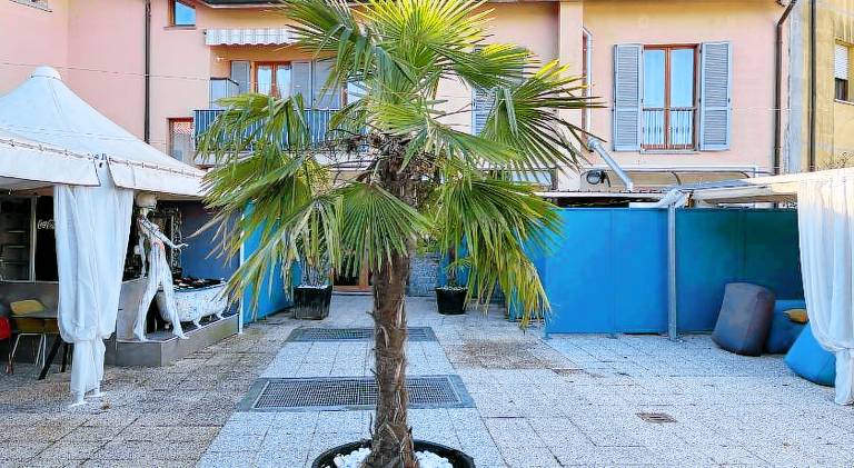 Le camere del Sal8 al Parco — photo 3