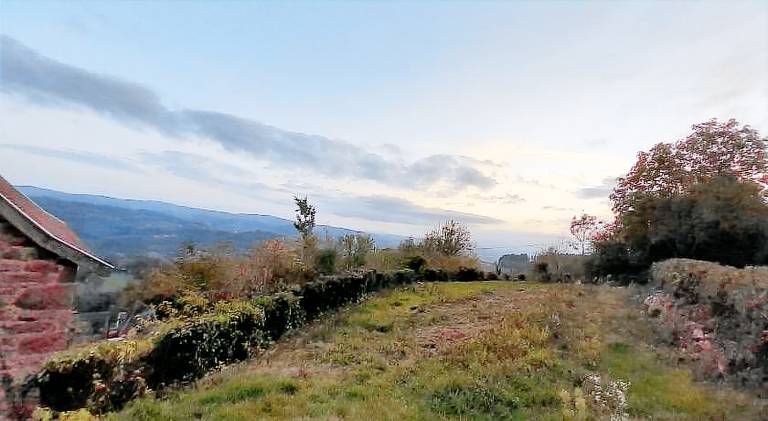 Douglas — photo 4
