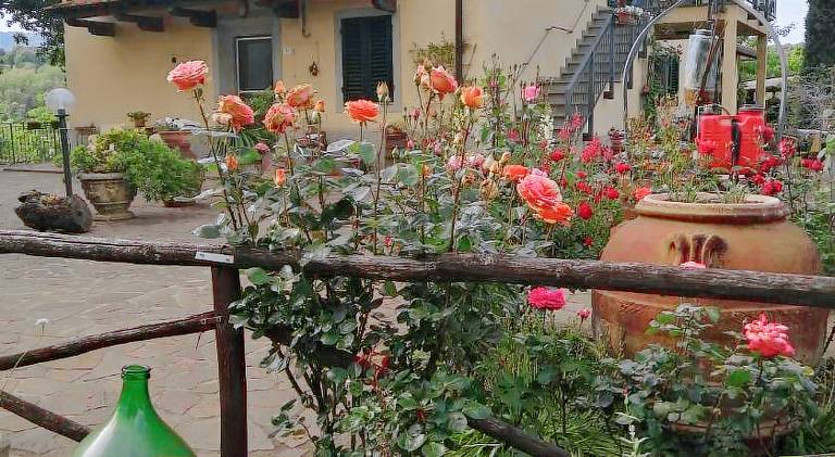 Holiday apartment | Dogs allowed in Figline e Incisa Valdarno