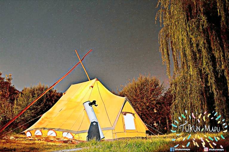 Camping Vicuña