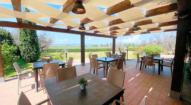 Farm with yard, barbecue & patio — photo 3