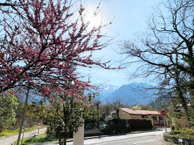 Appartement Vernet-les-Bains