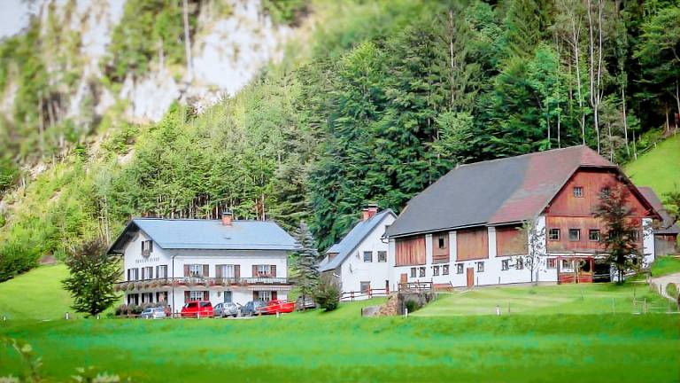 Ferienhaus Eisenwiesen