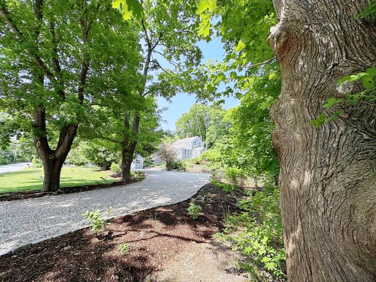 Classic Cape Bungalow less than a mile to Paine's Creek Beach & Dog Friendly! — photo 2