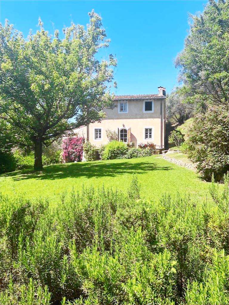 Camaiore Holiday Home, Wifi, Pet Friendly, La Casa Dei Limoni — photo 2