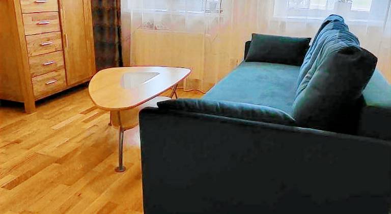 Holiday apartment with 1 room for 4 persons in Druskininkai