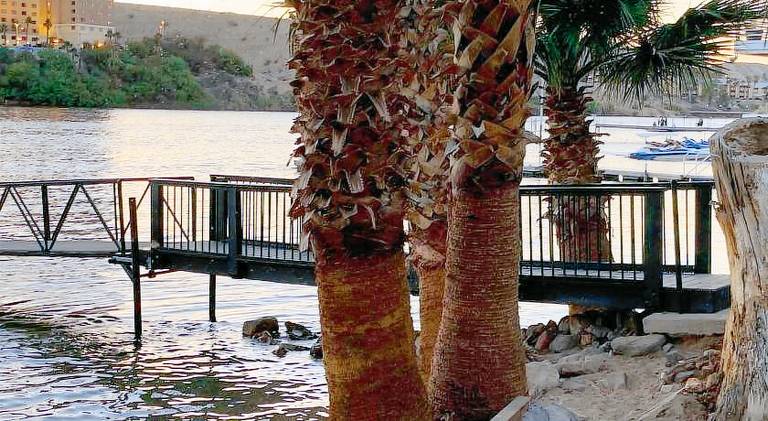Rental apartment with 1 room for 2 persons in Bullhead City, AZ