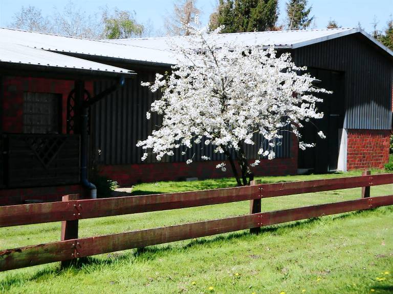 Ferienwohnung Holste