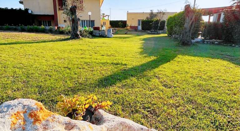 House with garden, pool & BBQ in Minervino di Lecce