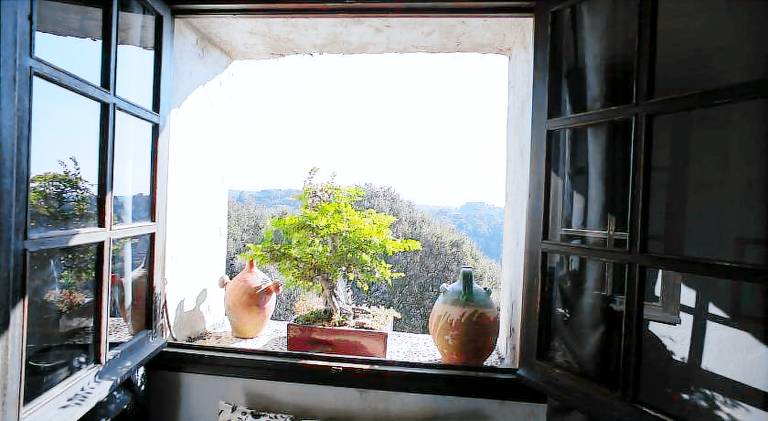 La maison aux bonsais — photo 5
