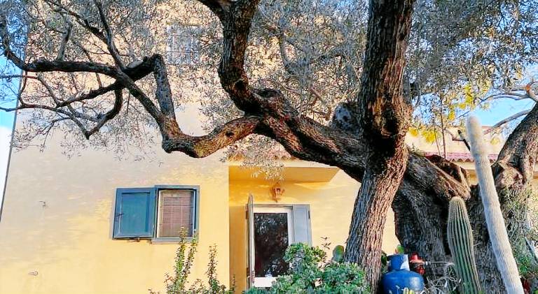Vacation home with 2 rooms for 8 persons — photo 3