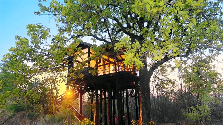 Camping  Kohka