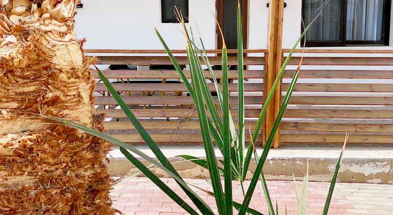 Holiday apartment with pool — photo 5