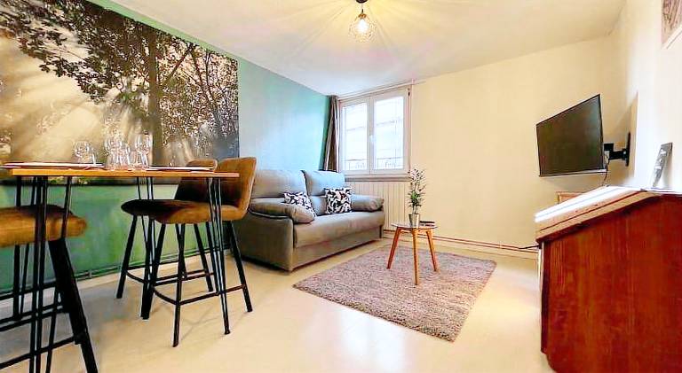 Pleasant rental apartment | Pet-friendly in Strasbourg