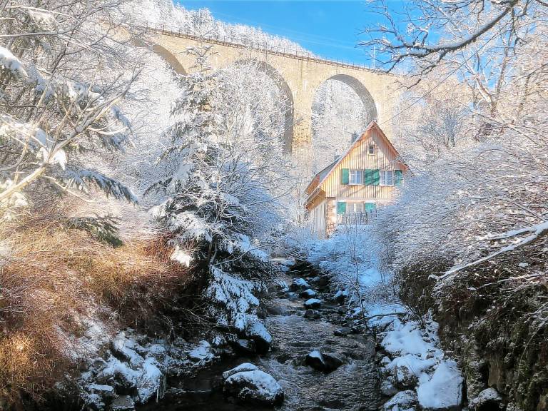 Ferienhaus Breitnau