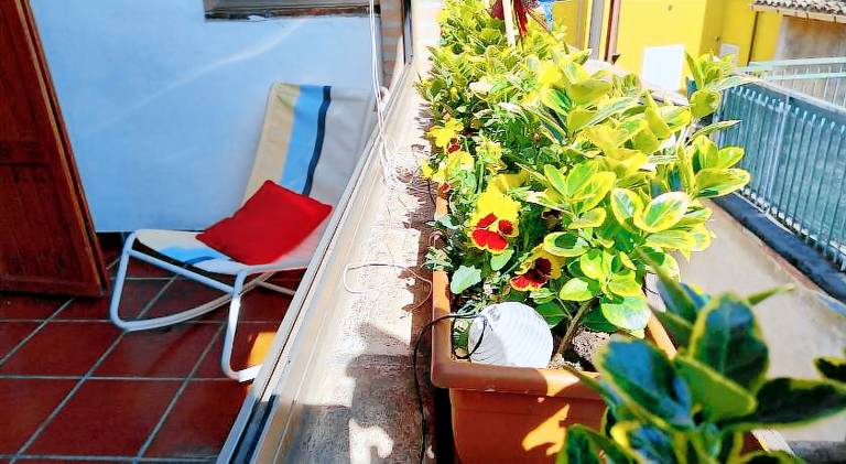 Apartment with 2 rooms for 5 persons — photo 3
