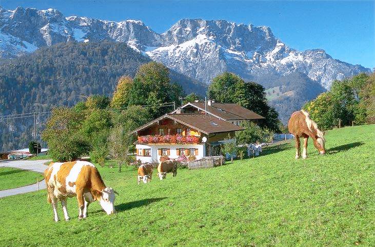 Ferienwohnung Marktschellenberg