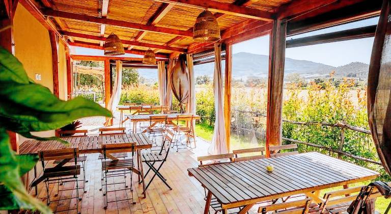 Charming farm with patio & garden | Dogs allowed — photo 3
