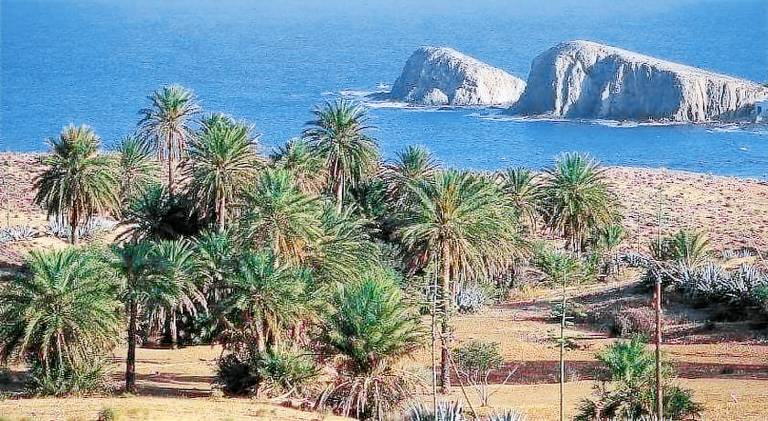 Big rental apartment | Close to the beach | Pets are welcome in Nijar