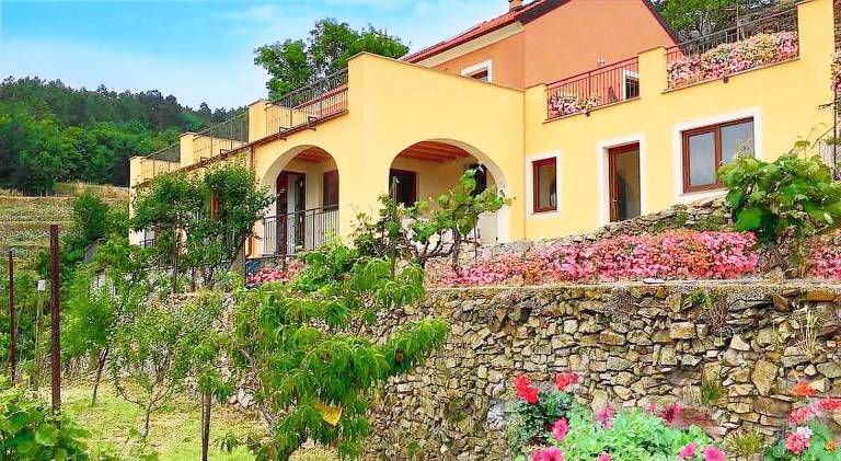 Beautiful farm with yard, terrace & hot tub | Dogs allowed in Nova Ponente