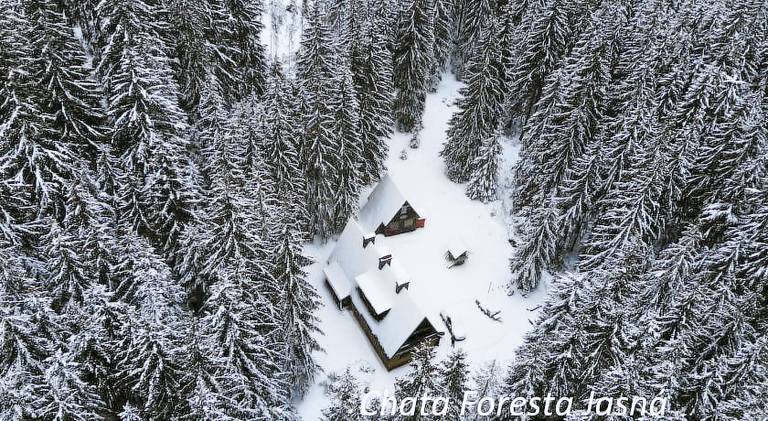 Nice serviced apartment with garden | Next to the ski | Pets allowed — photo 5