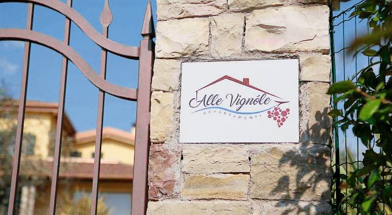 Wonderful apartment with yard, patio & private pool | Dogs allowed in Torri del Benaco