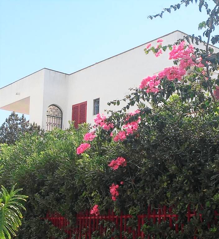Villa Conchiglie-Alto Lido