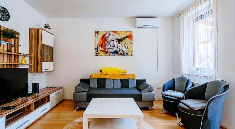 Pleasant apartment | Pet-friendly in Pecs