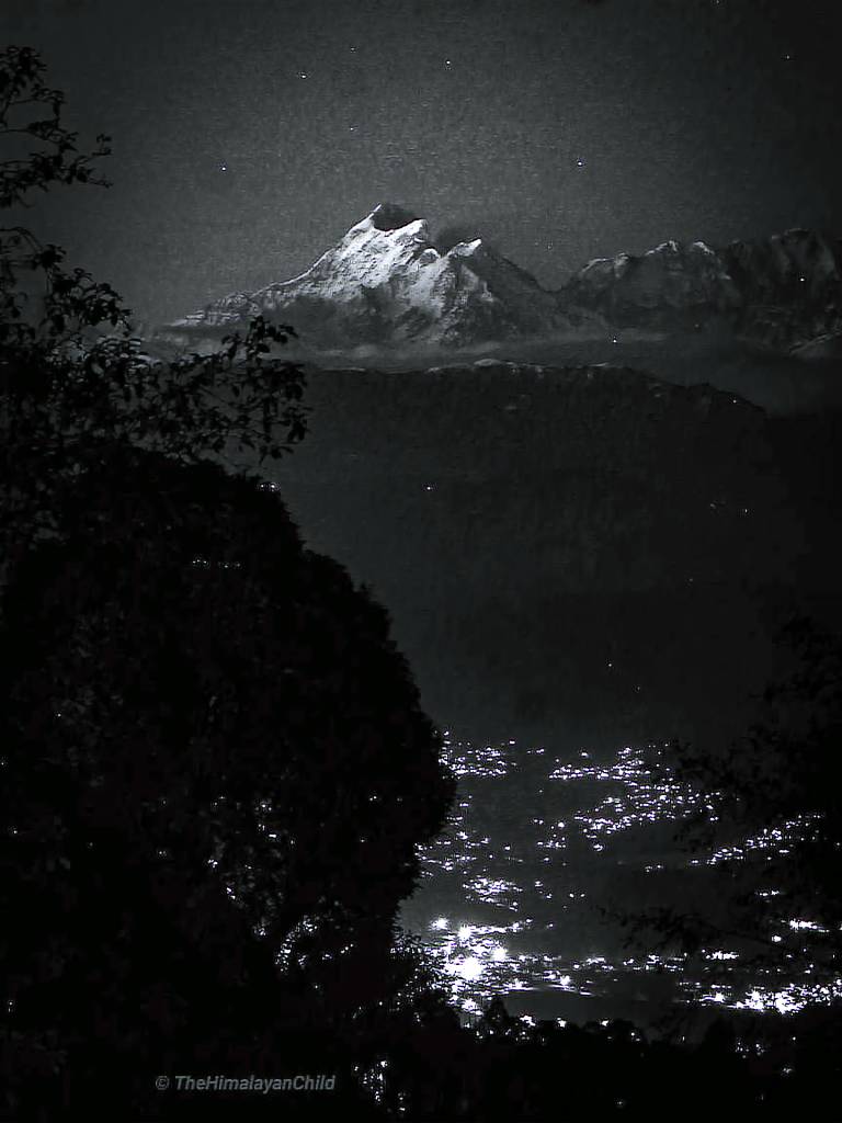 THC Ecostays Kausani — photo 5