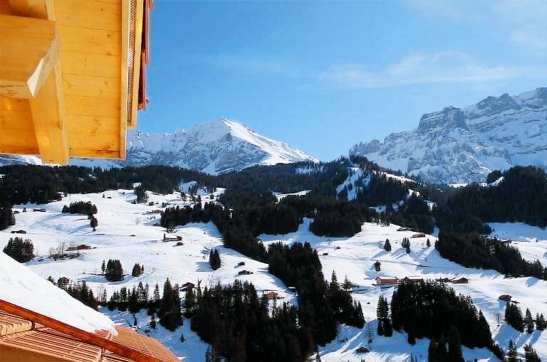 foto3