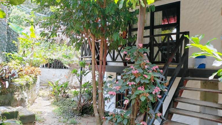 Vacation home with pool & garden — photo 5