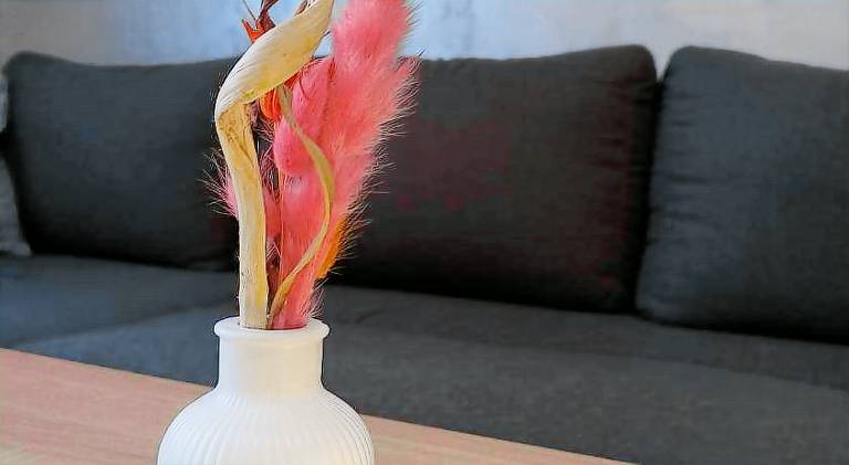 Nice rental apartment | Pet-friendly in Sibiu