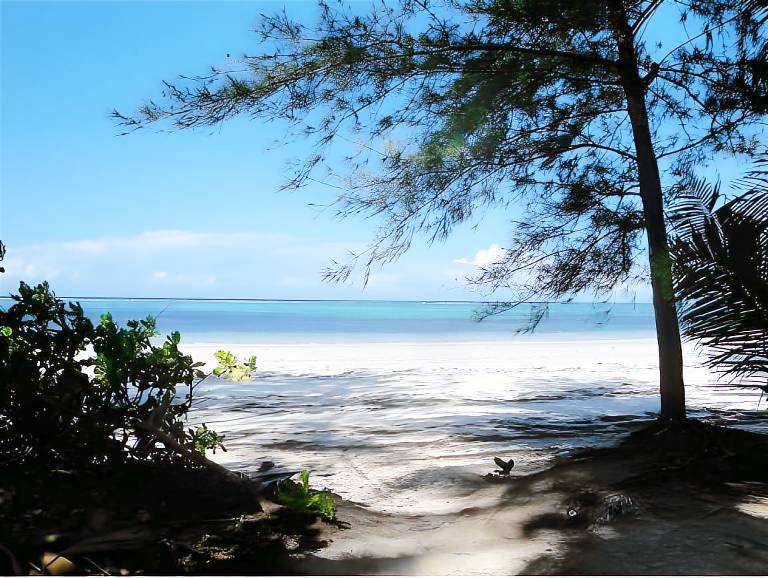 Panga Chumvi Beach Resort — photo 5