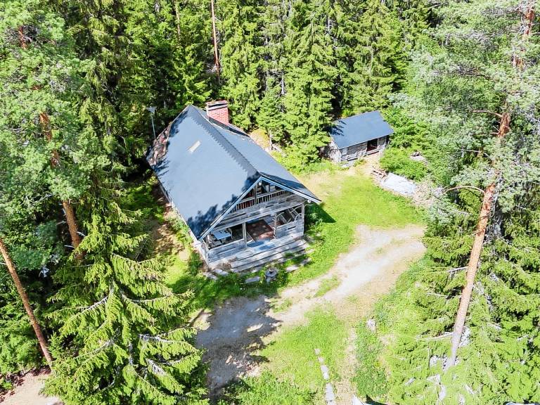 House Punkalaidun