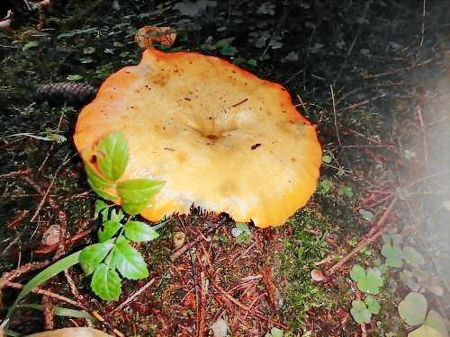 foto3