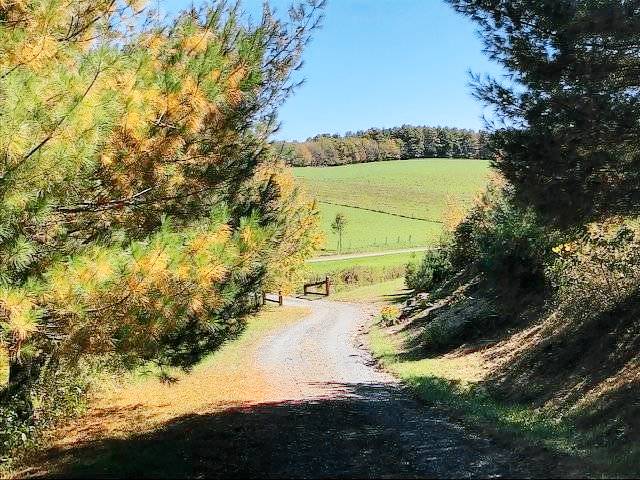 foto4