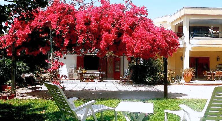 House with 1 room for 3 persons in Palermo