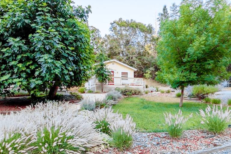Cabin Calistoga