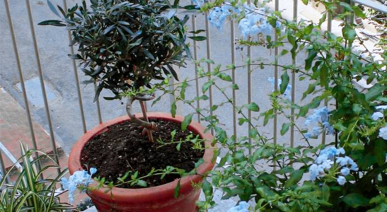 Rental apartment with 2 rooms for 5 persons — photo 4