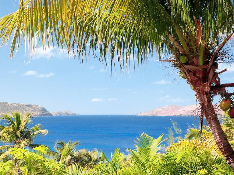 Villa Saint-Barthélemy