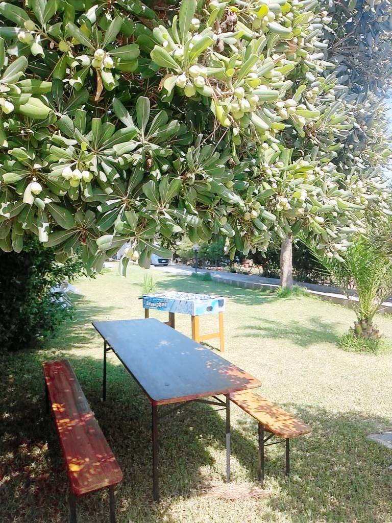 foto4
