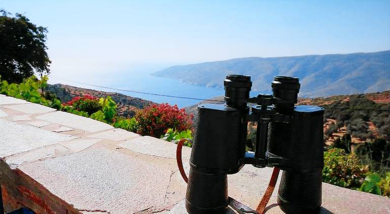 Ample vacation home | Pets allowed in Andros