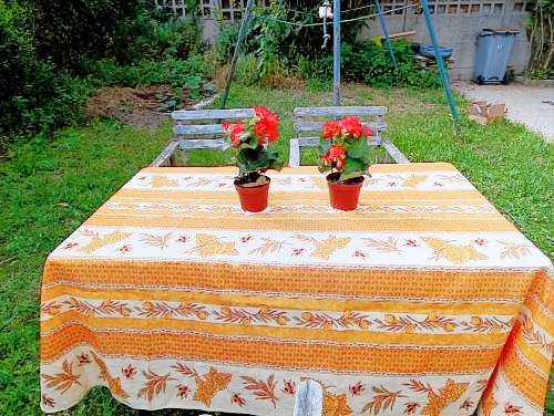 Appartement Sartrouville