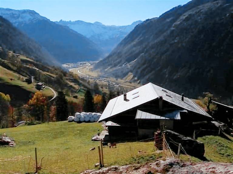 Bauernhof Engi