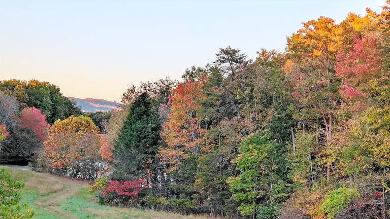 Farmhouse Charlottesville