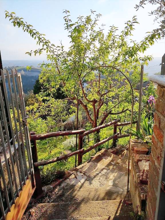 House  Monforte d'Alba
